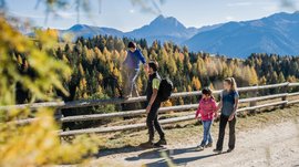 L’Alpe di Rodengo e Luson L'immagine mostra una famiglia che fa escursioni su un sentiero in montagna. Un bambino si equilibra su una recinzione di legno mentre il padre tiene la sua mano, e sullo sfondo si vedono alberi autunnali colorati e montagne.