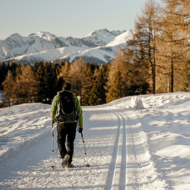 Almencard: la carta che apre tutte le porte Escursionista con bastoncini su sentiero innevato verso montagne