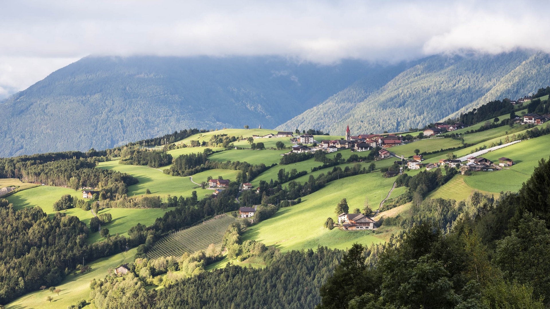 La frazione montana di Spinga L'immagine mostra un dolce paesaggio collinare verde con case sparse e una piccola chiesa con una torre rossa. Sullo sfondo si estendono pendii montuosi boscosi, parzialmente coperti da nuvole.