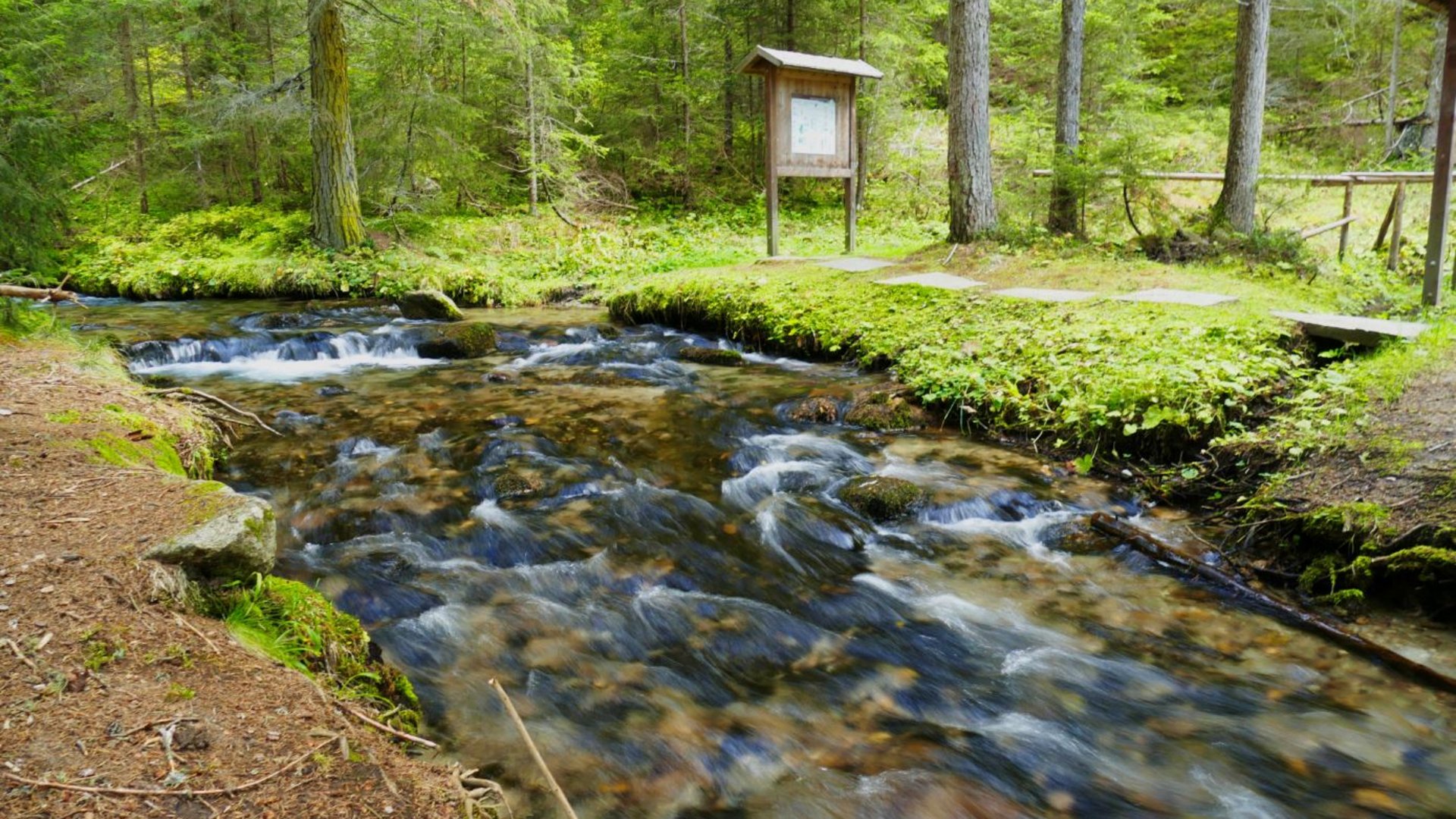 La Valle di Altafossa, presso Maranza L'immagine mostra un ruscello limpido che scorre attraverso una foresta verde. Sulla riva ci sono una passerella in legno e una bacheca, mentre l'acqua scorre su pietre e ciottoli. L'ambiente è rigoglioso e verde, con alberi alti e una fitta vegetazione sottostante.