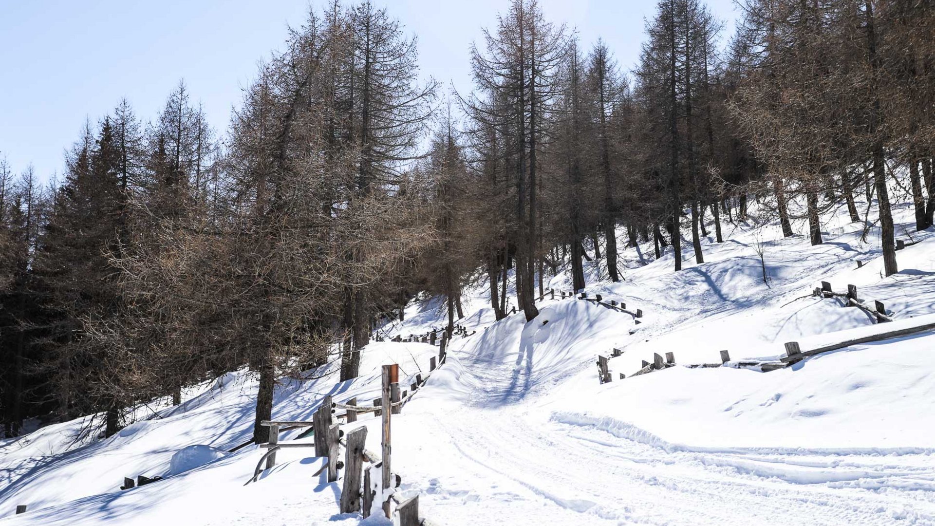 Escursioni a Spinga: qualche consiglio Sentiero innevato nel bosco con alberi spogli e staccionata di legno sotto cielo azzurro