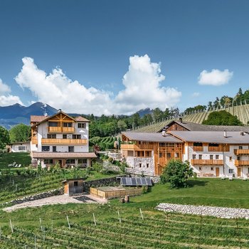 Sapori in malga Edifici in stile alpino tra vigneti e prati verdi, con montagne sullo sfondo