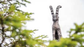 Il Parco del Sole Gitschberg – Maranza L'immagine mostra una scultura dettagliata in legno di uno stambecco con lunghe corna rivolte all'indietro. In primo piano si vedono rami verdi sfocati, mentre il cielo sullo sfondo è grigio.