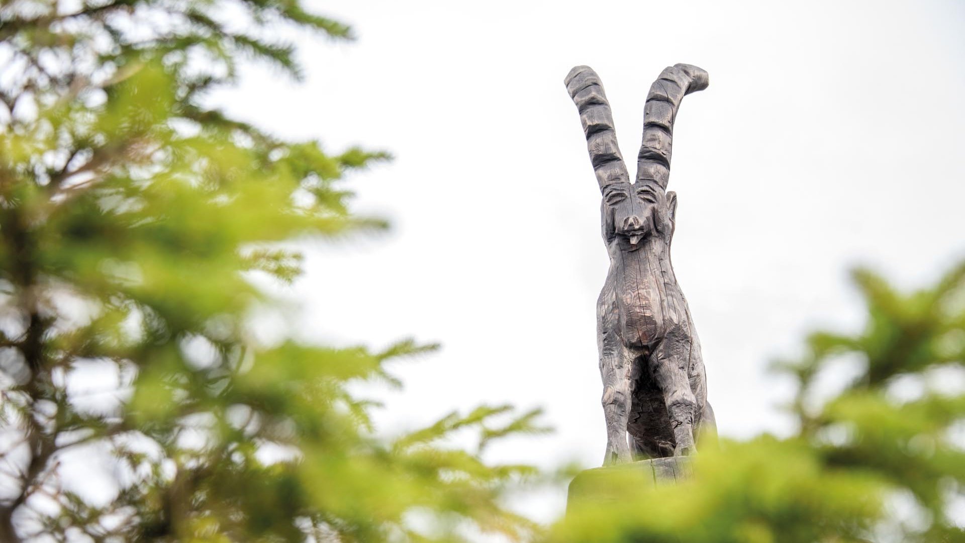 Il Parco del Sole Gitschberg – Maranza L'immagine mostra una scultura dettagliata in legno di uno stambecco con lunghe corna rivolte all'indietro. In primo piano si vedono rami verdi sfocati, mentre il cielo sullo sfondo è grigio.