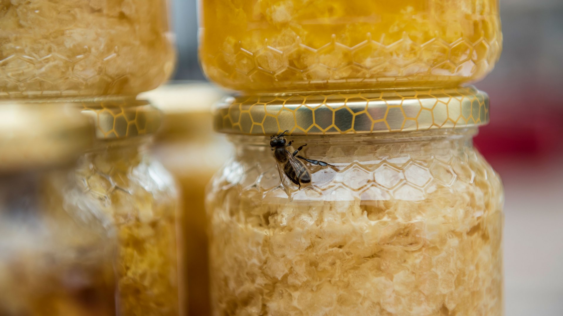 Shopping a Rio di Pusteria (BZ) L'immagine mostra un barattolo con favi di miele, sul cui coperchio è seduta un'ape. Il barattolo ha un'etichetta dorata con motivo a celle, e sullo sfondo si vedono altri barattoli di miele.