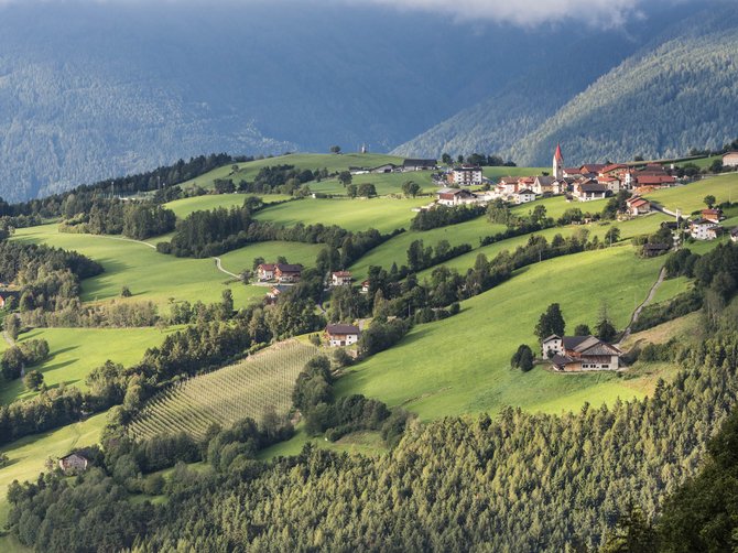Le località dell’area vacanze Rio Pusteria L'immagine mostra un paesaggio pittoresco con dolci colline verdi, su cui sono sparse piccole case e fattorie. Sullo sfondo si erge un pendio montano boscoso, mentre nel villaggio si vede una piccola chiesa con il tetto rosso.