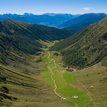 Benvenuti nell’Area Vacanze Sci e Malghe Rio Pusteria! L'immagine mostra una valle ampia che si estende tra due pendii montuosi alti e boscosi. Un sentiero stretto e tortuoso attraversa la valle verde, passando accanto ad alcune baite sparse. Sullo sfondo si possono vedere le maestose vette delle Alpi che dominano l'orizzonte.