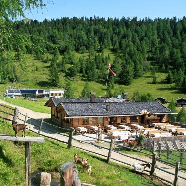 Anratterhütte L'immagine mostra un idilliaco chalet di legno in mezzo a un paesaggio verde e collinare con una terrazza piena di tavoli, circondata da una recinzione di legno, su cui sono appoggiate alcune capre, sotto un cielo azzurro e limpido.