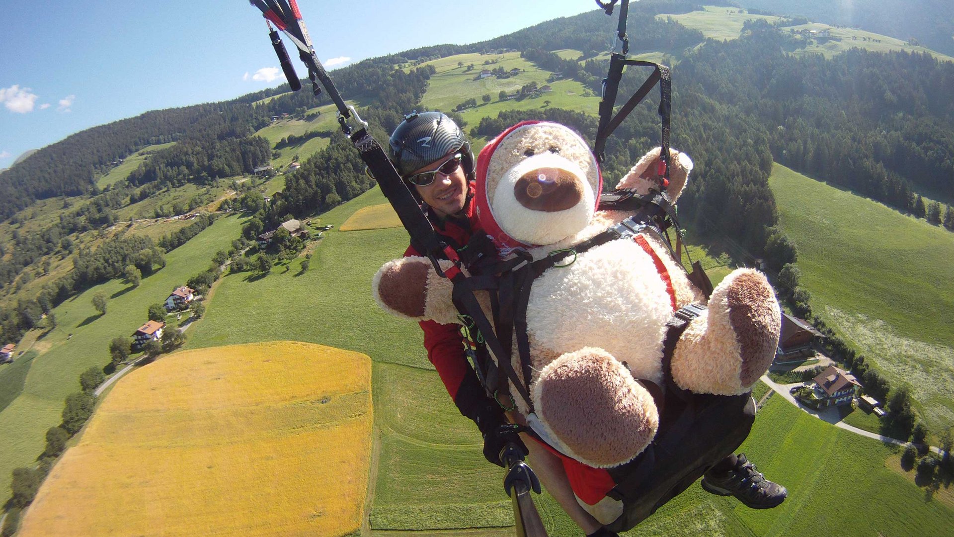Parapendio in Alto Adige L'immagine mostra una persona che vola in parapendio e porta davanti a sé un grande orsacchiotto di peluche in un'imbracatura. Sotto di loro si estendono campi verdi e foreste in un paesaggio collinare.