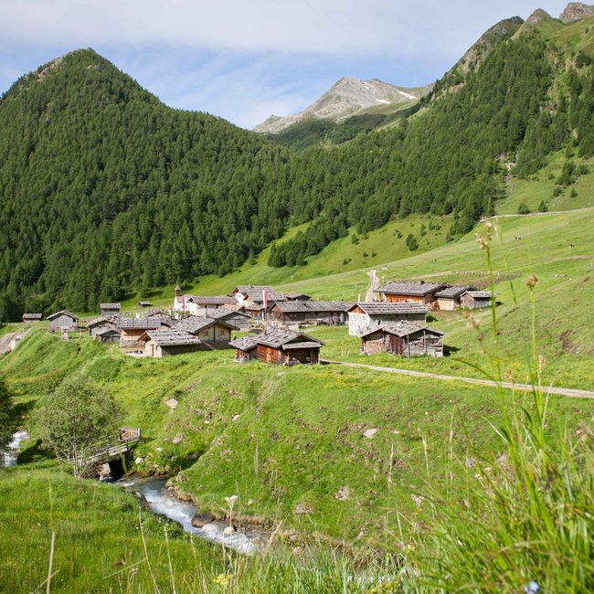 Cercate un hotel vicino a Bressanone? L'immagine mostra un idilliaco villaggio di montagna con case di legno, situato in una valle verde. In primo piano scorre un piccolo ruscello che viene attraversato da un ponte di legno, e sullo sfondo si vedono montagne boschive.