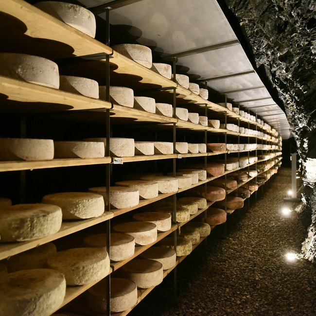 Brixen Südtirol Card: mezzi pubblici, impianti di risalita e musei son gratis L'immagine mostra un grande deposito in cui forme di formaggio sono impilate su scaffali di legno. Gli scaffali si estendono lungo una parete rocciosa e sono disposti in lunghe file, mentre la luce mette in risalto il formaggio in un ambiente fresco e buio.