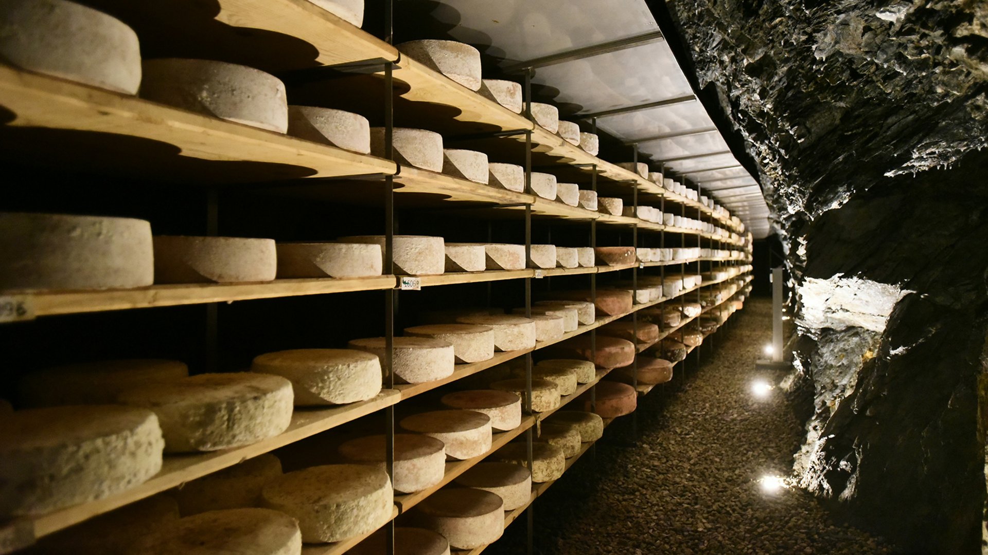 Il caseificio Capriz a Vandoies L'immagine mostra un grande deposito in cui forme di formaggio sono impilate su scaffali di legno. Gli scaffali si estendono lungo una parete rocciosa e sono disposti in lunghe file, mentre la luce mette in risalto il formaggio in un ambiente fresco e buio.