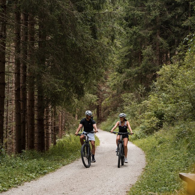 Almencard: la carta che apre tutte le porte Due persone vanno in bicicletta su un sentiero forestale