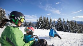 Voglia di slittino? Venite a Terento! Persone che fanno slittino su pista innevata in una foresta invernale