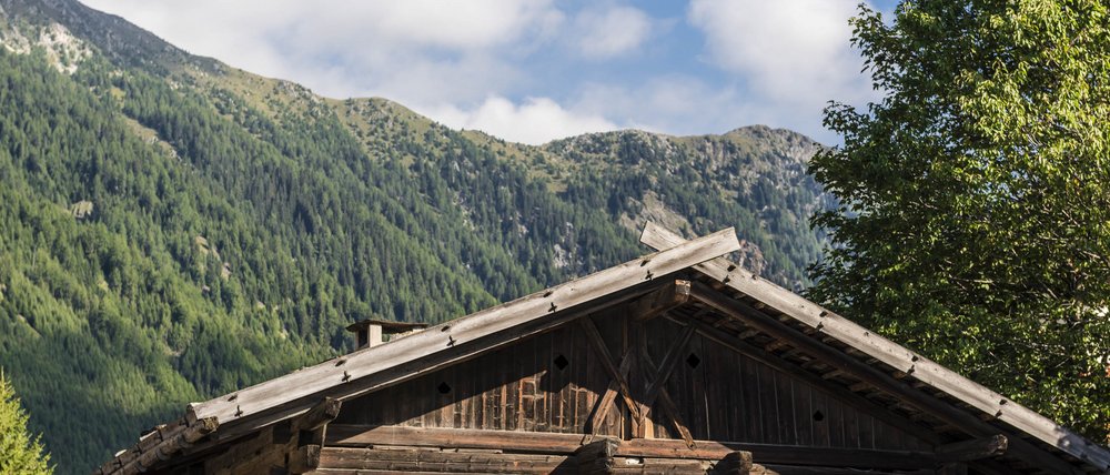 Le località dell’area vacanze Rio Pusteria L'immagine mostra una tradizionale baita di legno con fiori colorati che fioriscono in cassette di fiori sotto le finestre. Sullo sfondo si ergono montagne verdi e boscose sotto un cielo azzurro con alcune nuvole.