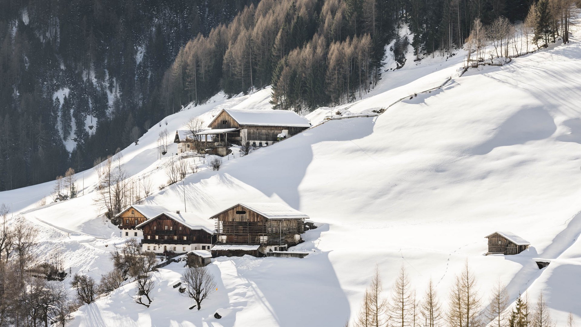 Quando si dice idilliaco… ecco a voi Fundres L'immagine mostra un paesaggio montano invernale con colline innevate e diverse baite distribuite sui pendii. Sullo sfondo si vede una foresta fitta, e la luce del sole basso all'orizzonte proietta lunghe ombre sulla neve.