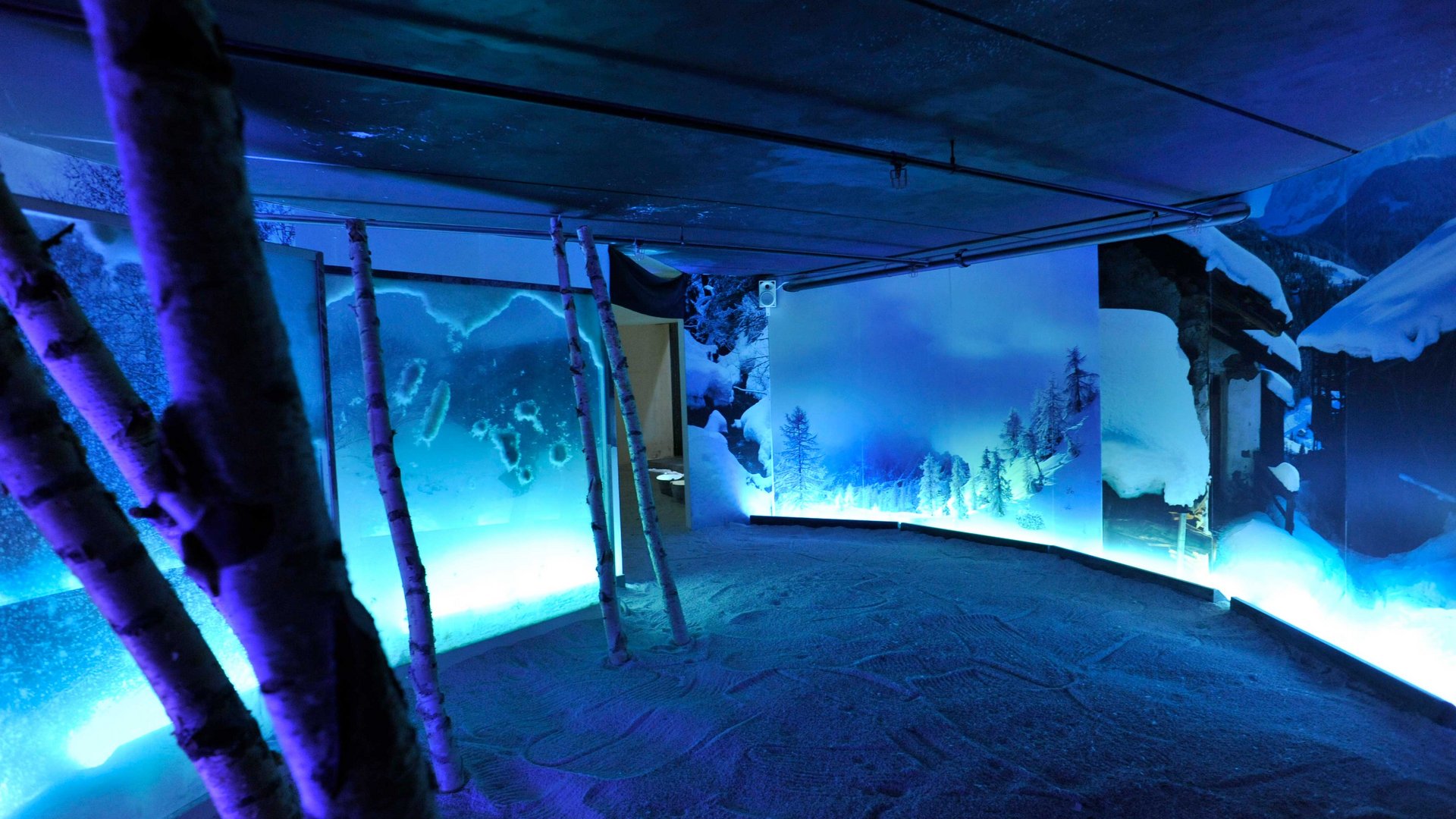Il Mondo del Loden a Vandoies L'immagine mostra una stanza illuminata da una luce blu che rappresenta un paesaggio invernale. In primo piano ci sono tronchi di betulla, mentre le pareti sono decorate con immagini di alberi innevati e montagne.