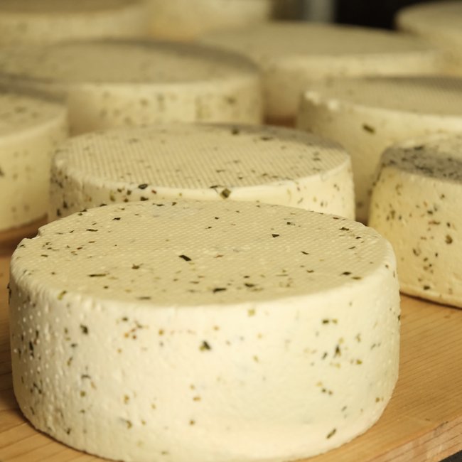 Vacanze sostenibili in Alto Adige Formaggi freschi rotondi con erbe su tavola di legno in caseificio