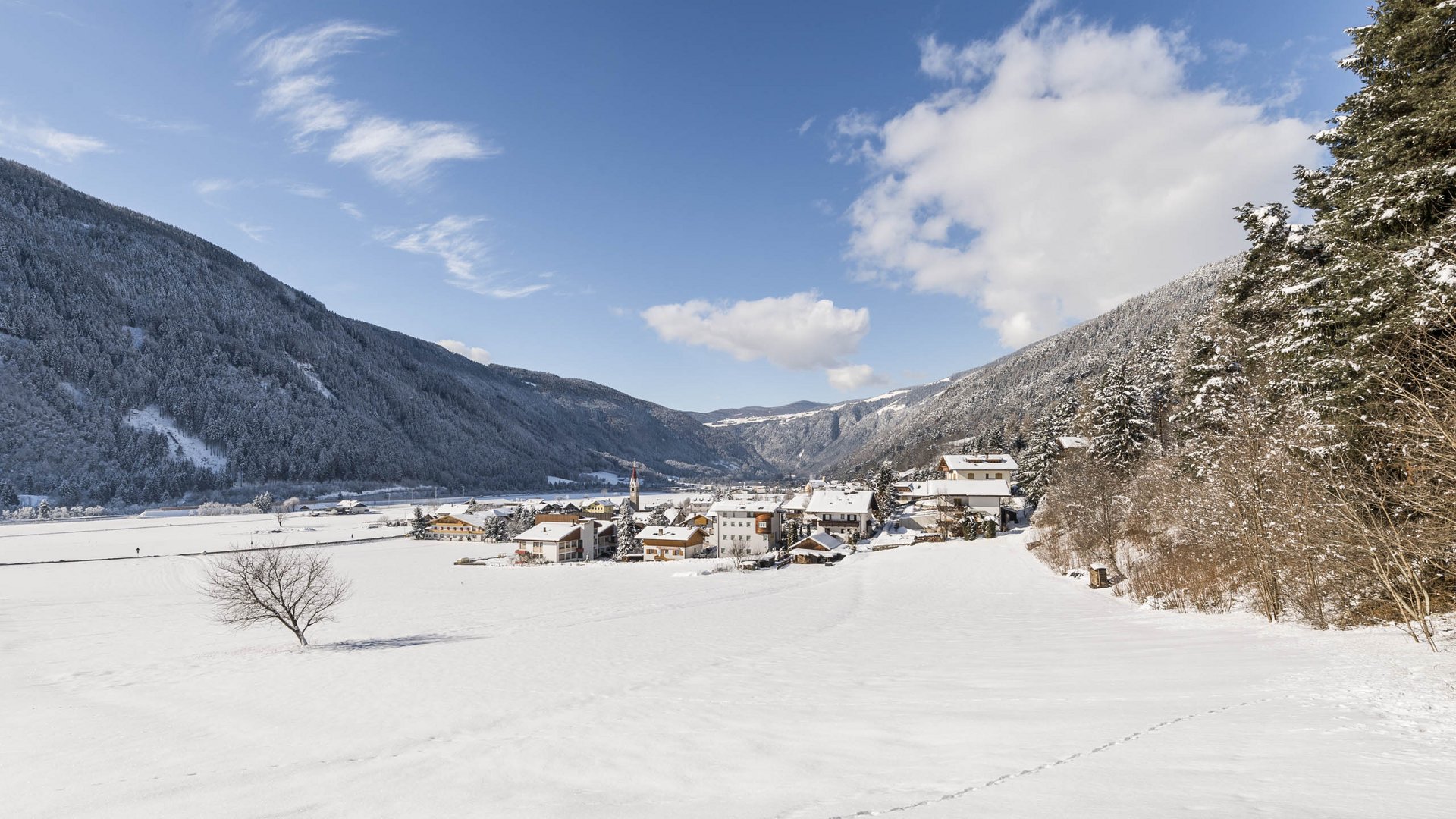 Vandoies: il cuore artigianale della Val Pusteria L'immagine mostra un paesaggio innevato con un piccolo villaggio nella valle, circondato da montagne coperte di neve. Il cielo è limpido e blu, attraversato solo da qualche nuvola, e in primo piano c'è un albero spoglio sul campo innevato.