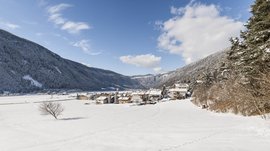 Vandoies: il cuore artigianale della Val Pusteria L'immagine mostra un paesaggio innevato con un piccolo villaggio nella valle, circondato da montagne coperte di neve. Il cielo è limpido e blu, attraversato solo da qualche nuvola, e in primo piano c'è un albero spoglio sul campo innevato.
