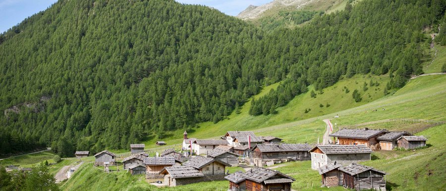 Le località dell’area vacanze Rio Pusteria L'immagine mostra un pittoresco insediamento di malghe in mezzo a pendii montani verdi. Le malghe hanno tetti tradizionali di legno e sullo sfondo si vedono ripidi pendii montani densamente boscati e una piccola torre campanaria.