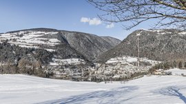 Alla scoperta di Rio di Pusteria L'immagine mostra un paesaggio invernale con una valle innevata in cui si trova una piccola città. Circondata da colline e montagne coperte di neve, in primo piano si estendono campi bianchi, mentre i rami spogli di un albero incorniciano il bordo superiore dell'immagine.