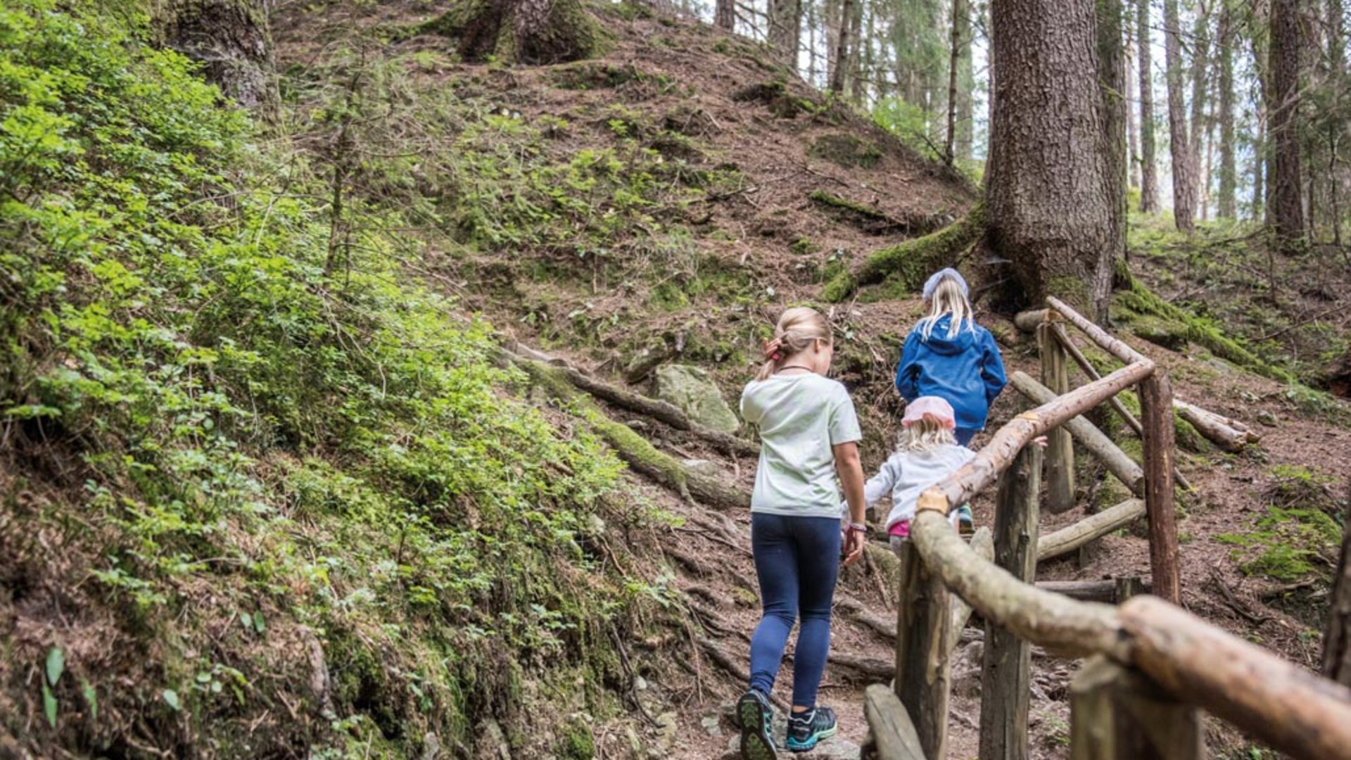 Il Sentiero degli Elfi a Vandoies di Sopra L'immagine mostra tre bambini che camminano su un sentiero stretto e ripido nel bosco, salendo la collina. Seguono un percorso protetto da una ringhiera di legno, circondato da alberi e vegetazione verde.
