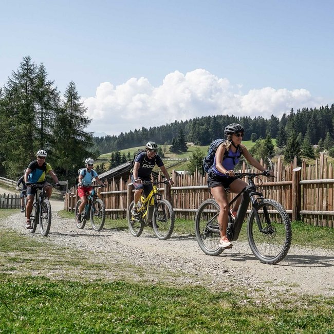 Esplorando l’Alto Adige in e-bike e mountain bike L'immagine mostra un gruppo di quattro ciclisti che pedalano lungo un sentiero sterrato. Indossano tutti caschi da bici e abbigliamento sportivo. Sullo sfondo si vedono una recinzione di legno, alberi e dolci colline, circondati da un paesaggio rurale.