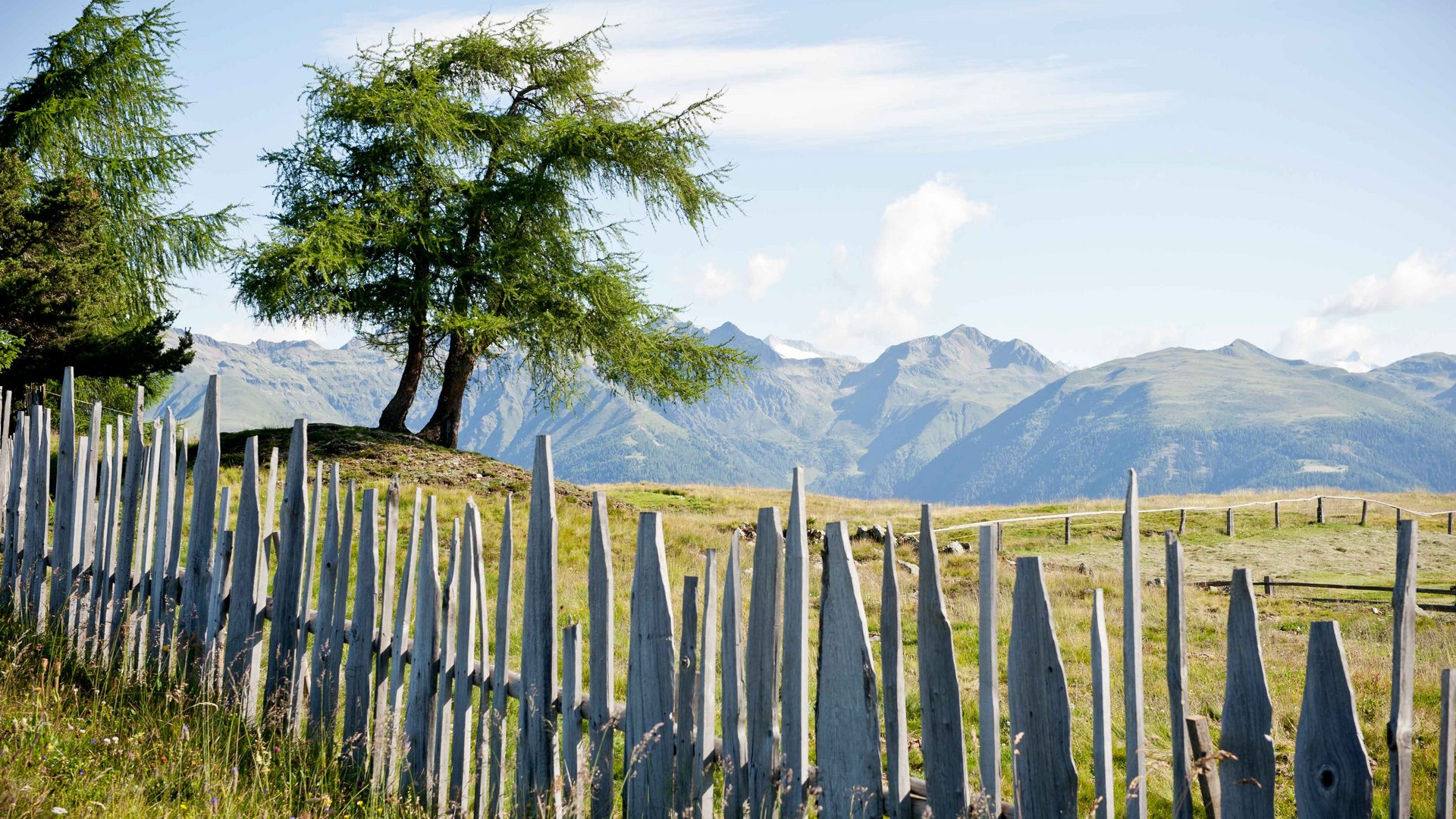 L’Alpe di Rodengo e Luson L'immagine mostra un paesaggio idilliaco con una recinzione di legno inclinata in primo piano, composta da listelli di legno naturali a punta. Dietro c'è un singolo albero su un prato verde, circondato da vette montuose sotto un cielo azzurro limpido.