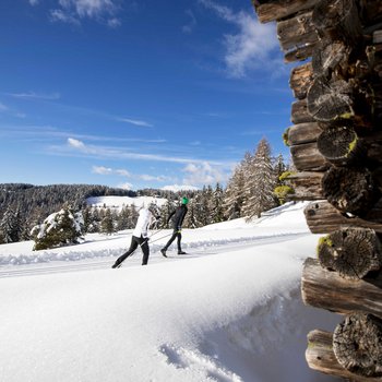 Benvenuti nell’Area Vacanze Sci e Malghe Rio Pusteria! Due sciatori di fondo su pista innevata accanto a una baita di legno