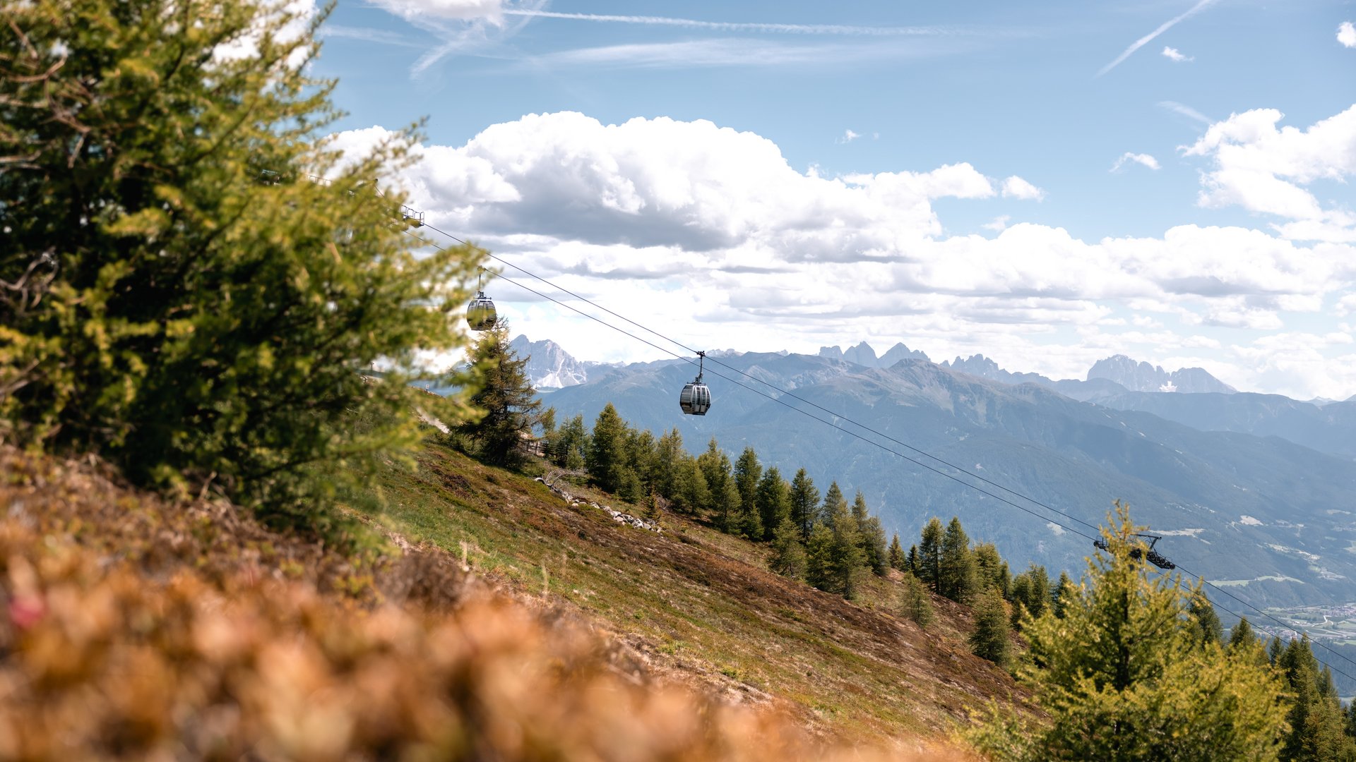 Sapori in malga Cabine della funivia sopra un pendio boscoso con le Dolomiti sullo sfondo