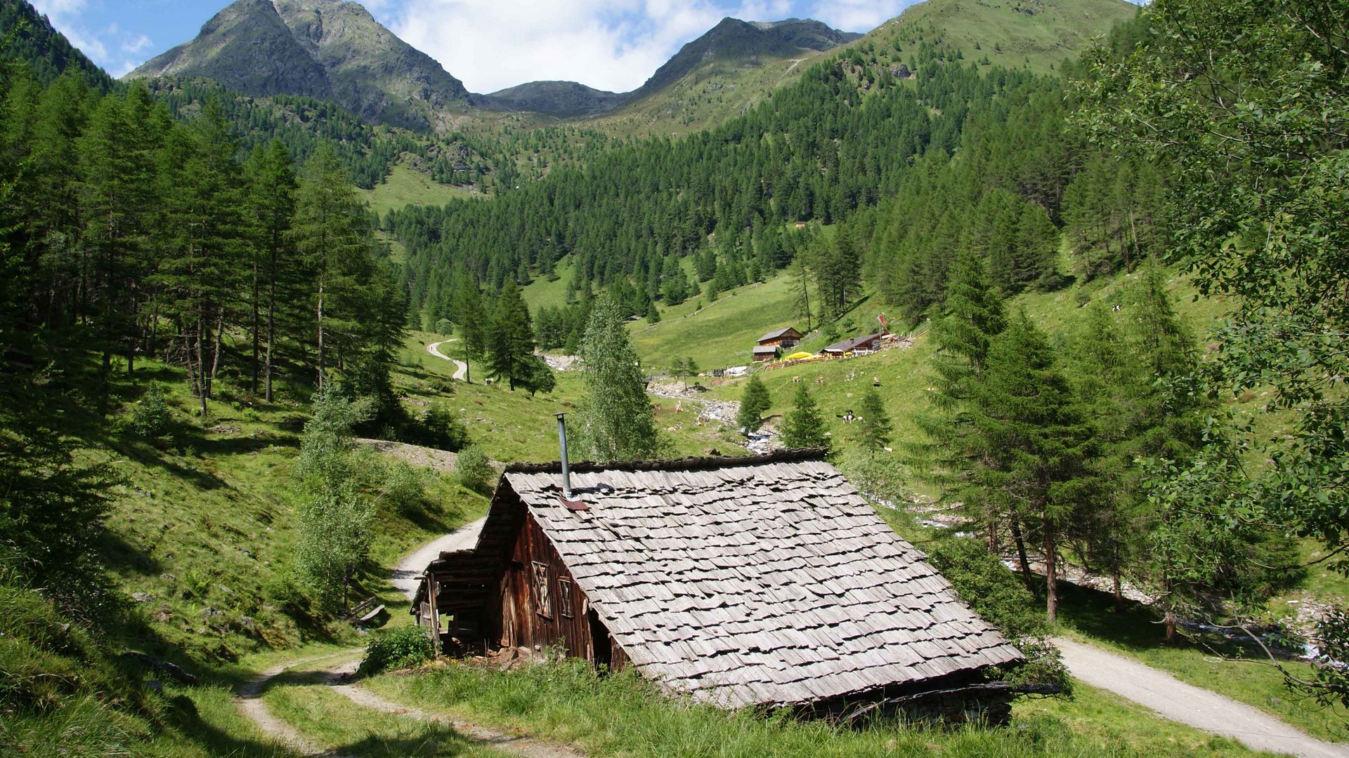 Escursioni a Terento, in Val Pusteria Baita in valle verde con montagne e bosco sullo sfondo
