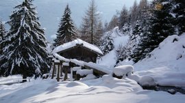 Escursioni a Terento, in Val Pusteria Capanna di legno e alberi innevati in paesaggio montano invernale