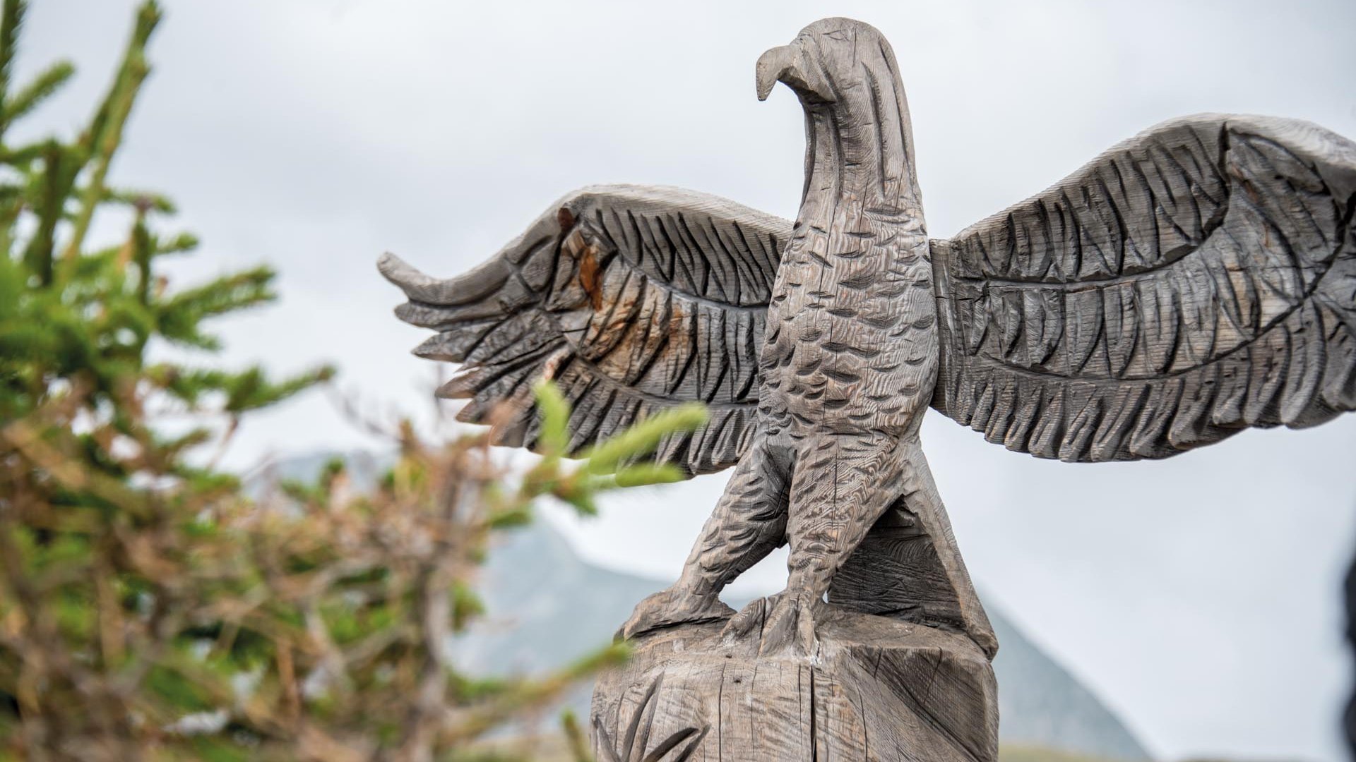 Il Parco del Sole Gitschberg – Maranza L'immagine mostra una scultura dettagliata in legno di un'aquila con le ali spiegate. In primo piano si vede della vegetazione, mentre lo sfondo è costituito da un cielo nuvoloso e montagne sfocate.