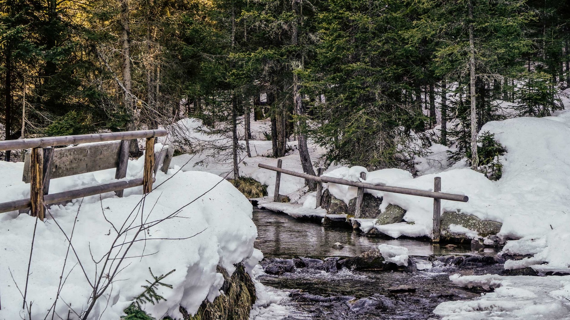 La Valle di Altafossa, presso Maranza L'immagine mostra una foresta innevata con un piccolo ruscello attraversato da un ponte di legno. Gli alberi sono fitti e verdi, e il terreno è coperto di neve, mentre l'acqua del ruscello scorre tranquilla. La scena appare tranquilla e isolata.
