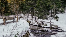 La Valle di Altafossa, presso Maranza L'immagine mostra una foresta innevata con un piccolo ruscello attraversato da un ponte di legno. Gli alberi sono fitti e verdi, e il terreno è coperto di neve, mentre l'acqua del ruscello scorre tranquilla. La scena appare tranquilla e isolata.
