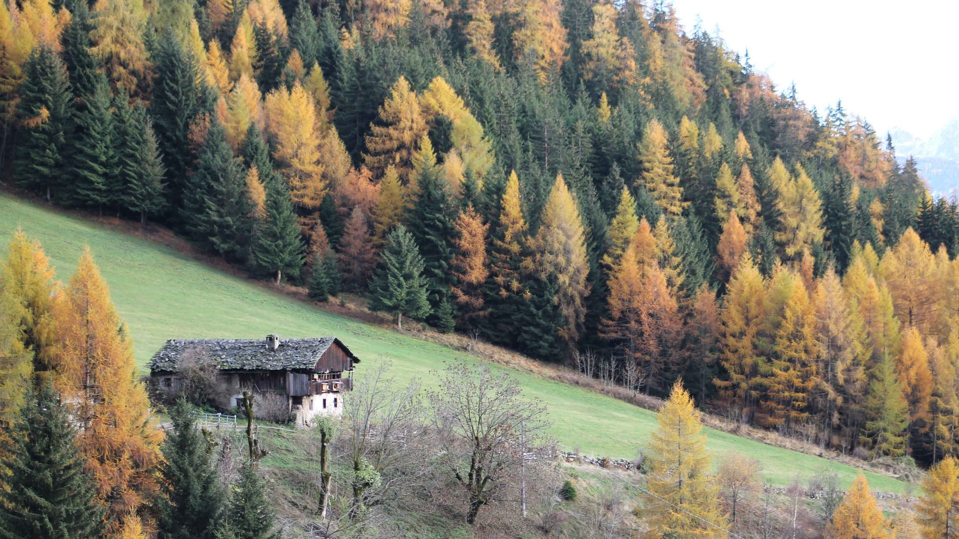 Il Sentiero dei Mulini a Terento Casa vecchia ai margini del bosco con alberi colorati d'autunno