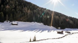 La Valle di Altafossa, presso Maranza L'immagine mostra un paesaggio invernale soleggiato con due piccole baite di legno innevate in una valle. Sullo sfondo si erge una fitta foresta coperta di neve, e il sole splendente è alto nel cielo azzurro e limpido, proiettando lunghe ombre sulla neve.