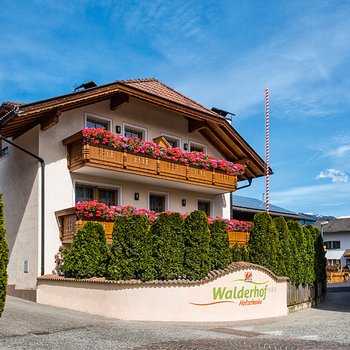 Sapori in malga Edificio Waldhof con balconi fioriti e alte siepi