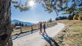 L’Alpe di Rodengo e Luson L'immagine mostra due persone che passeggiano su un sentiero escursionistico ampio e soleggiato. Sopra di loro, il sole splende attraverso i rami di un albero, e sullo sfondo si vedono colline e montagne boschive.