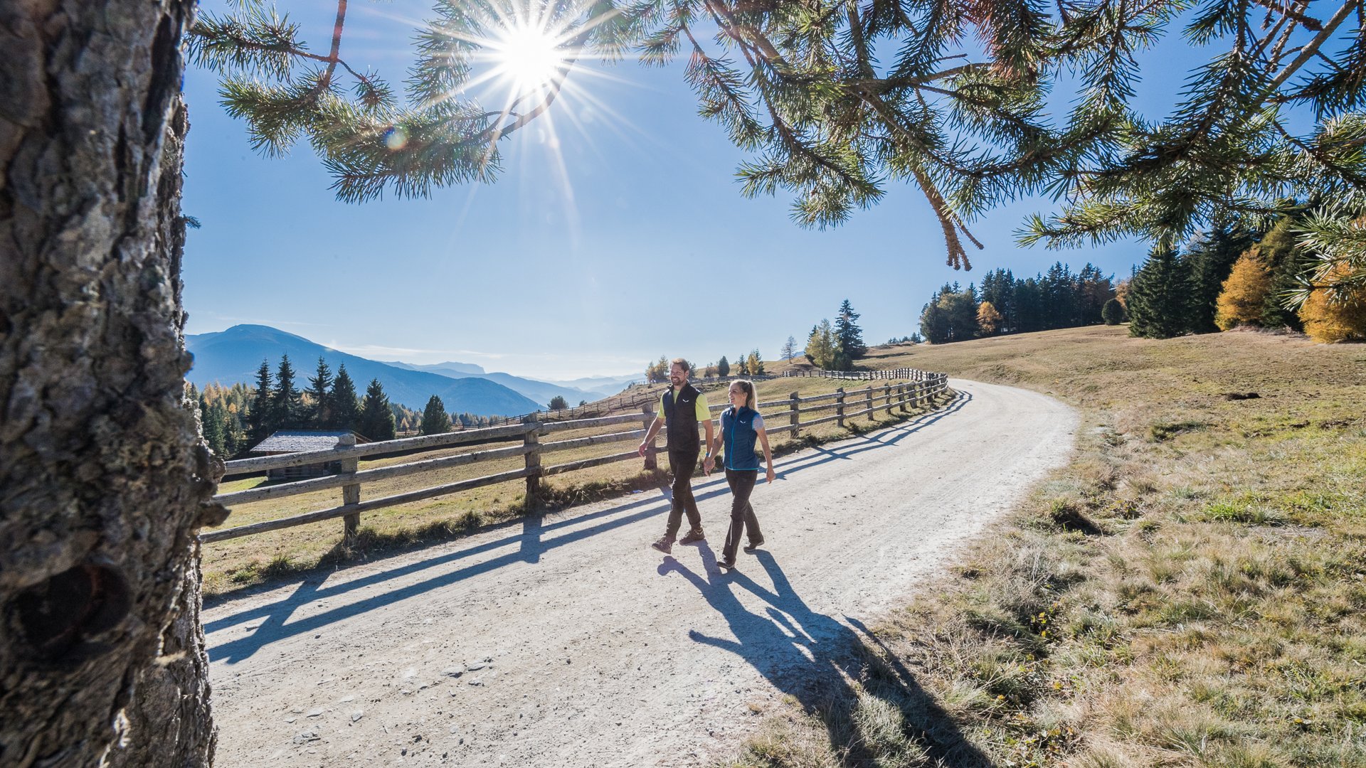 L’Alpe di Rodengo e Luson L'immagine mostra due persone che passeggiano su un sentiero escursionistico ampio e soleggiato. Sopra di loro, il sole splende attraverso i rami di un albero, e sullo sfondo si vedono colline e montagne boschive.
