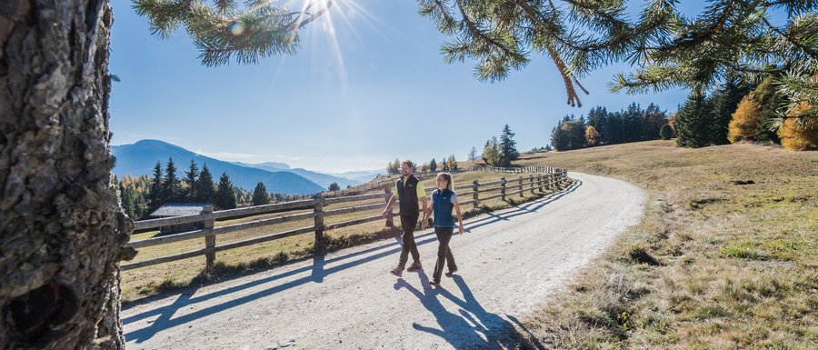 Le località dell’area vacanze Rio Pusteria L'immagine mostra due persone che passeggiano su un sentiero escursionistico ampio e soleggiato. Sopra di loro, il sole splende attraverso i rami di un albero, e sullo sfondo si vedono colline e montagne boschive.