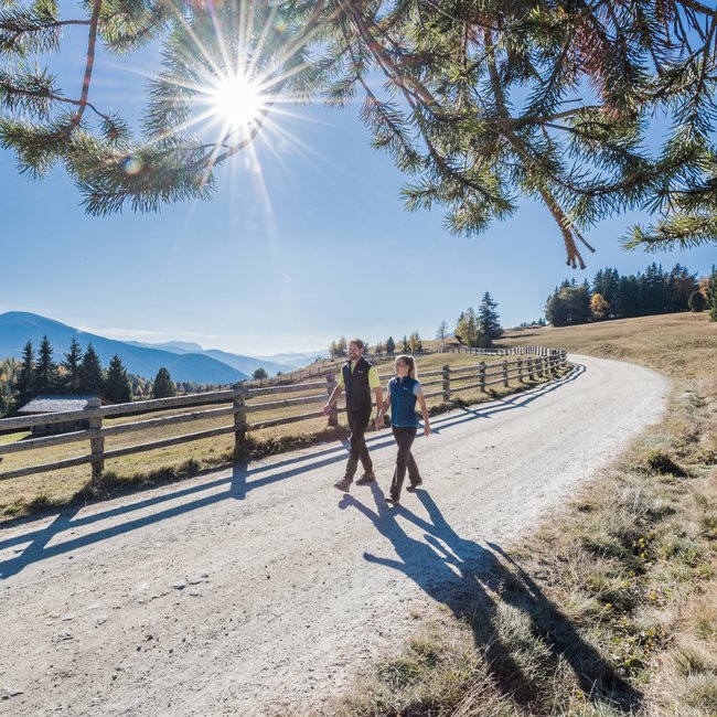 Vacanze sostenibili in Alto Adige L'immagine mostra due persone che passeggiano su un sentiero escursionistico ampio e soleggiato. Sopra di loro, il sole splende attraverso i rami di un albero, e sullo sfondo si vedono colline e montagne boschive.