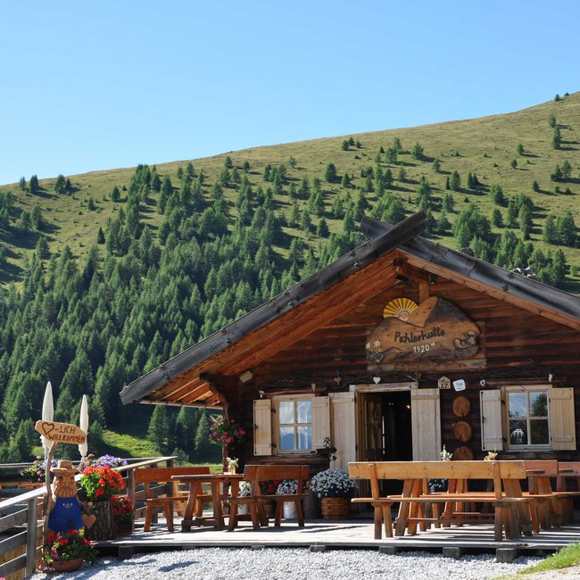 Pichlerhütte L'immagine mostra un'accogliente baita di montagna in legno, circondata da prati verdi e molti abeti. Davanti alla baita ci sono panche di legno e vasi di fiori con fiori colorati. Un'insegna di legno con la scritta "Benvenuti" accoglie i visitatori.