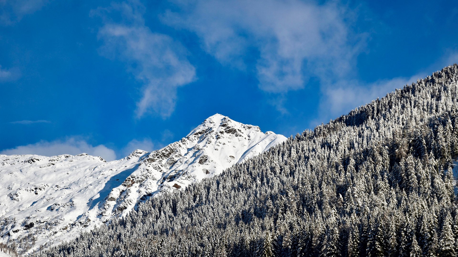 Escursioni a Terento, in Val Pusteria Montagne innevate con foresta di conifere sotto cielo azzurro
