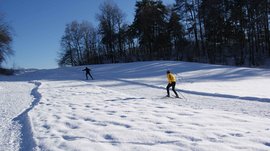 Le piste di fondo a Terento L'immagine mostra due persone che sciano su una superficie coperta di neve. Una persona indossa una giacca gialla, mentre l'altra è vestita di nero; sullo sfondo ci sono degli alberi e un cielo azzurro chiaro.