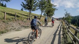L’Alpe di Rodengo e Luson L'immagine mostra un gruppo di ciclisti che pedalano in salita su un sentiero ampio e non asfaltato. Il sentiero è fiancheggiato da alberi e a sinistra si estende un prato verde, mentre a destra lungo il percorso corre una recinzione di legno. Il paesaggio suggerisce un ambiente montano.