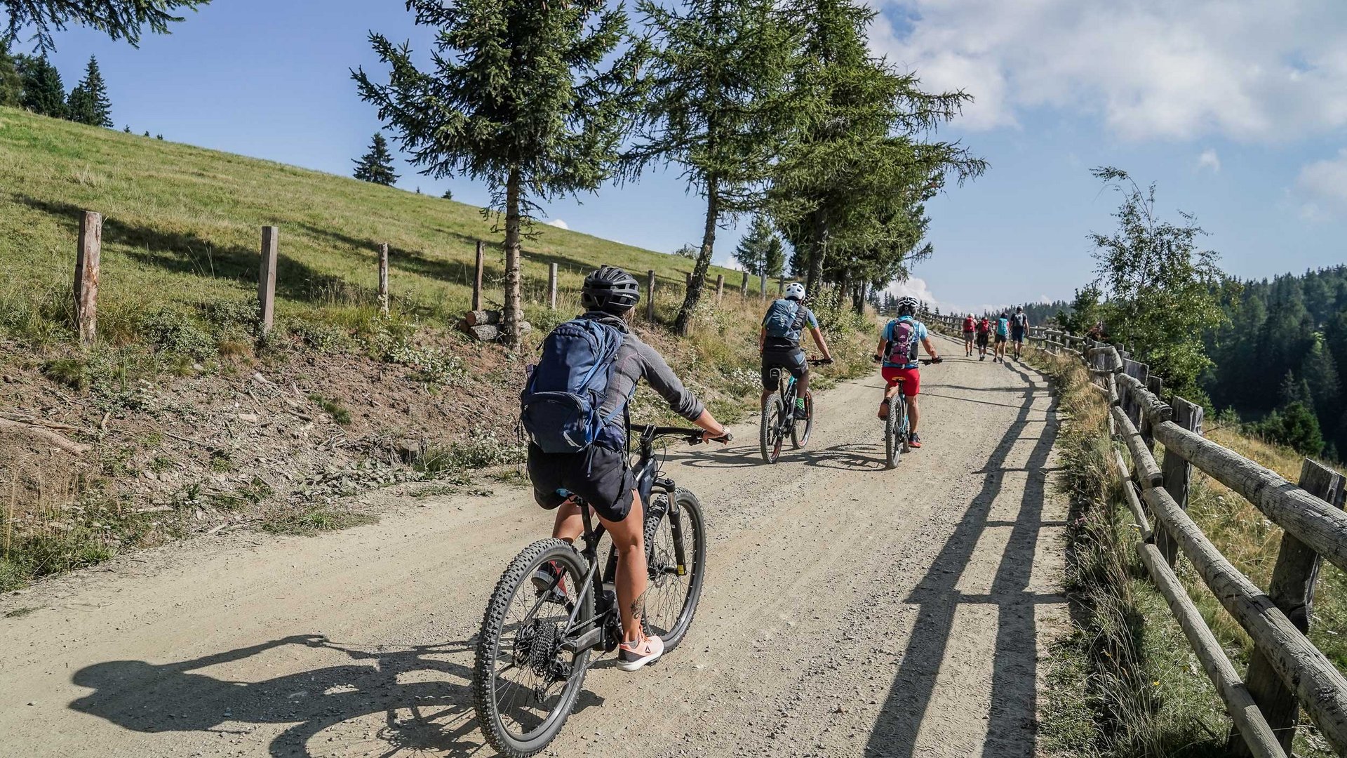 L’Alpe di Rodengo e Luson L'immagine mostra un gruppo di ciclisti che pedalano in salita su un sentiero ampio e non asfaltato. Il sentiero è fiancheggiato da alberi e a sinistra si estende un prato verde, mentre a destra lungo il percorso corre una recinzione di legno. Il paesaggio suggerisce un ambiente montano.