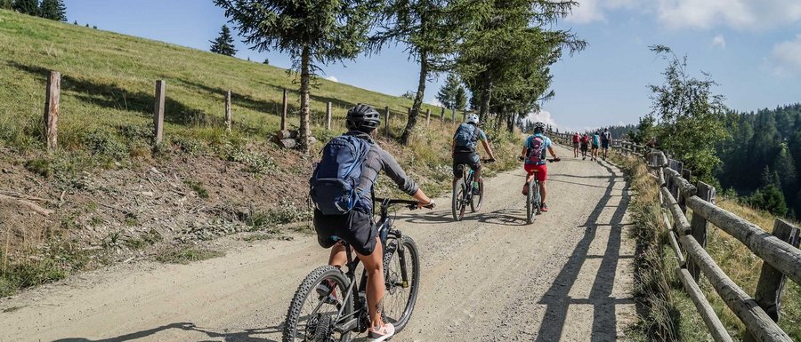Le località dell’area vacanze Rio Pusteria L'immagine mostra un gruppo di ciclisti che pedalano in salita su un sentiero ampio e non asfaltato. Il sentiero è fiancheggiato da alberi e a sinistra si estende un prato verde, mentre a destra lungo il percorso corre una recinzione di legno. Il paesaggio suggerisce un ambiente montano.