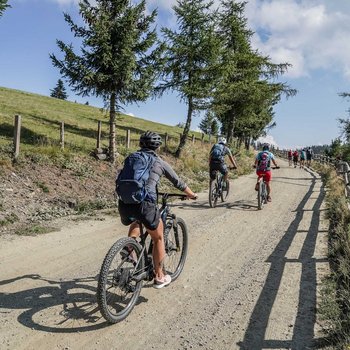 Benvenuti nell’Area Vacanze Sci e Malghe Rio Pusteria! L'immagine mostra un gruppo di ciclisti che pedalano in salita su un sentiero ampio e non asfaltato. Il sentiero è fiancheggiato da alberi e a sinistra si estende un prato verde, mentre a destra lungo il percorso corre una recinzione di legno. Il paesaggio suggerisce un ambiente montano.